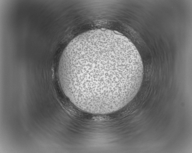 X0000072490703200608111602