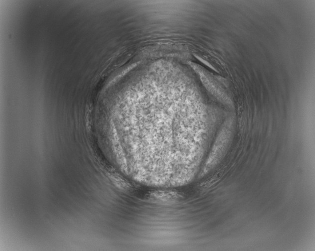 X0000072490712200608111602