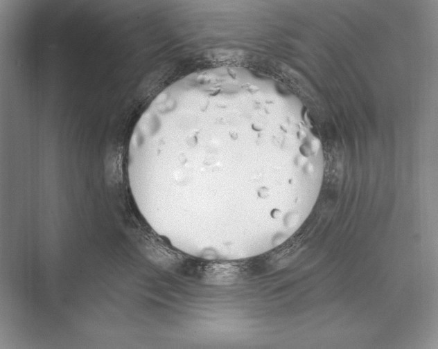 X0000072490717200608111602