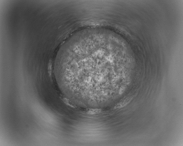 X0000072490720200608111602