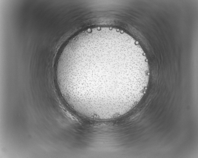 X0000072490721200608111601