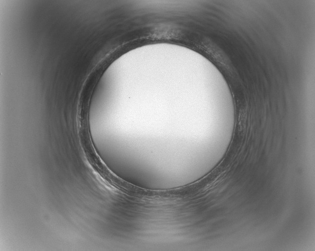 X0000072490722200608111601