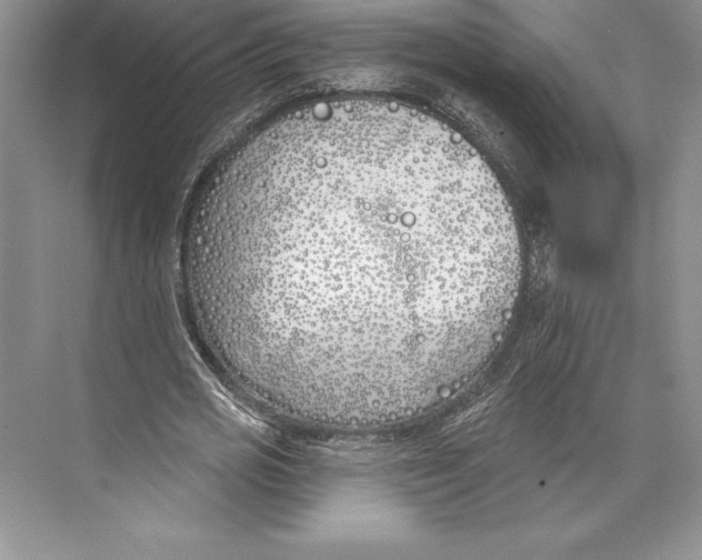 X0000072490725200608111601