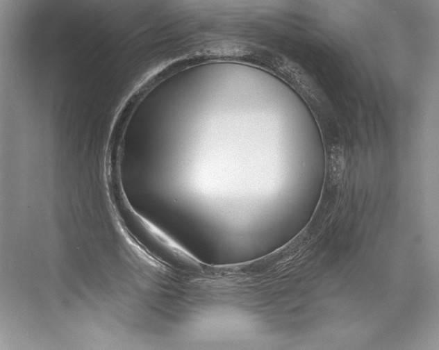 X0000072490726200608111601