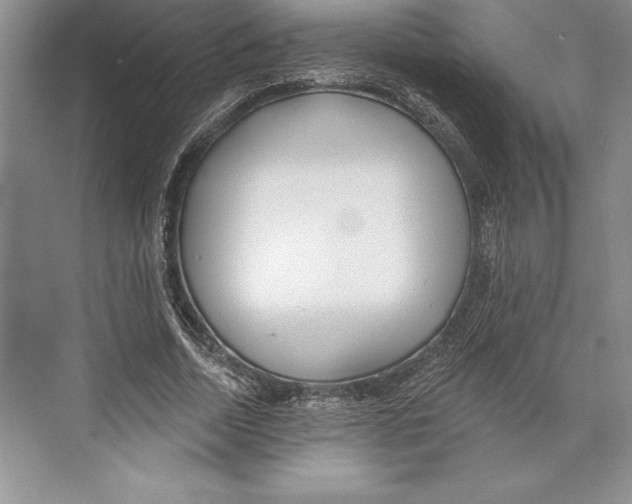 X0000072490730200608111601