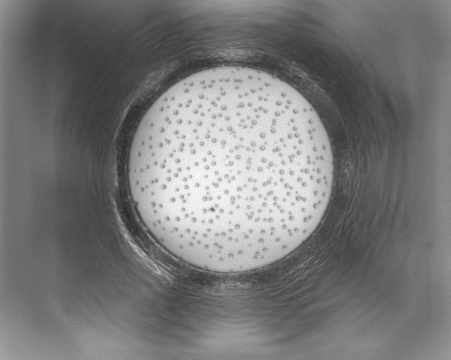 X0000072490734200608111601