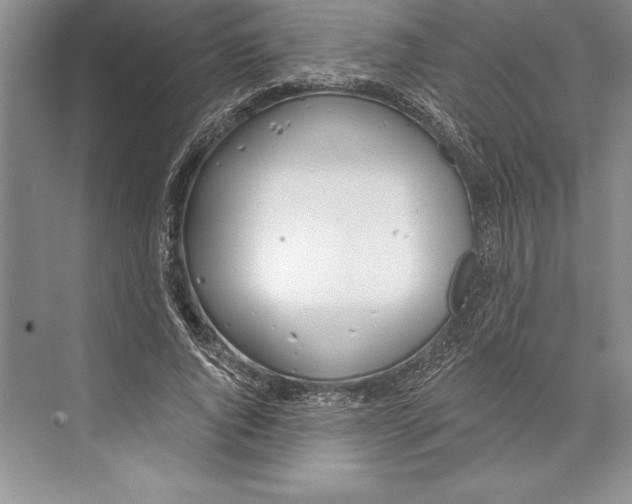 X0000072490736200608111601