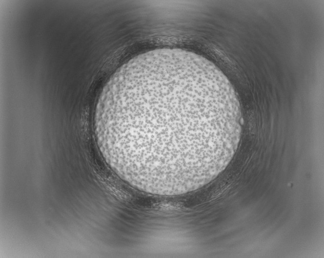 X0000072490737200608111601