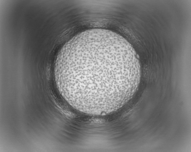 X0000072490741200608111601