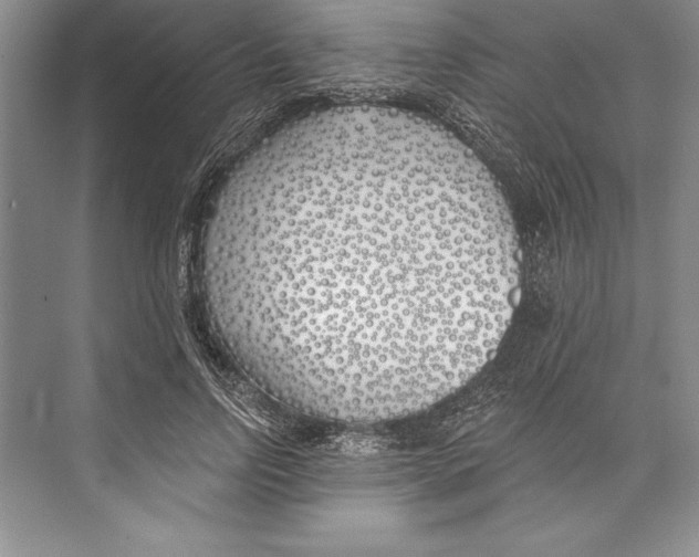 X0000072490742200608111601