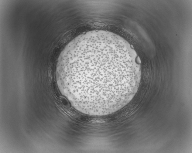 X0000072490749200608111601