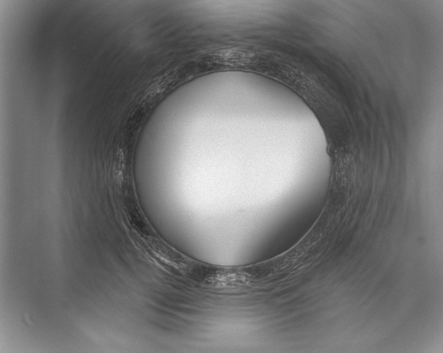 X0000072490752200608111602