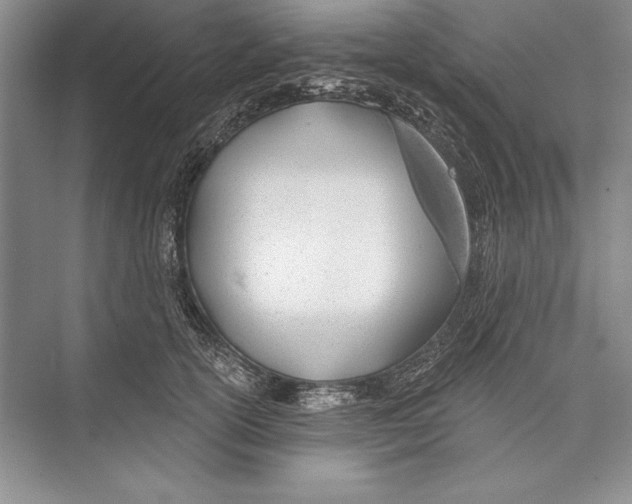 X0000072490754200608111602