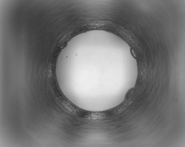 X0000072490758200608111602