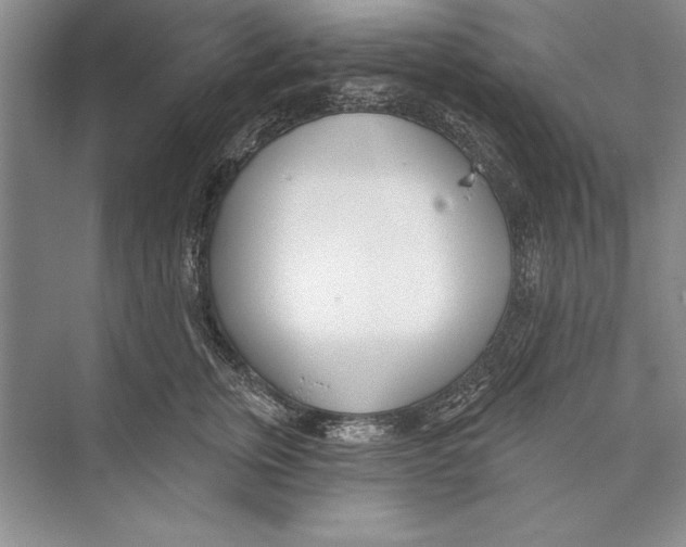 X0000072490759200608111602