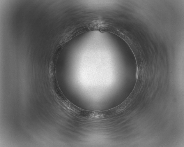 X0000072490760200608111602