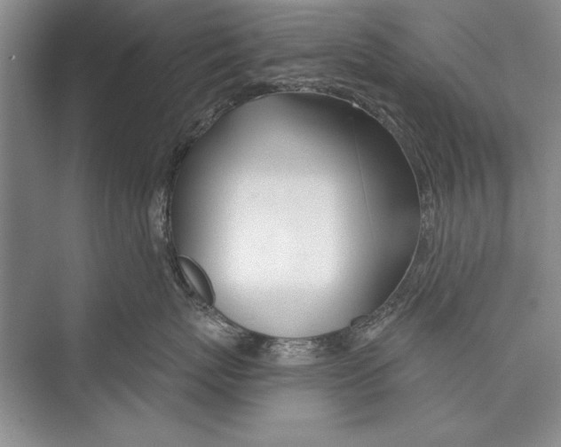 X0000072490767200608111602