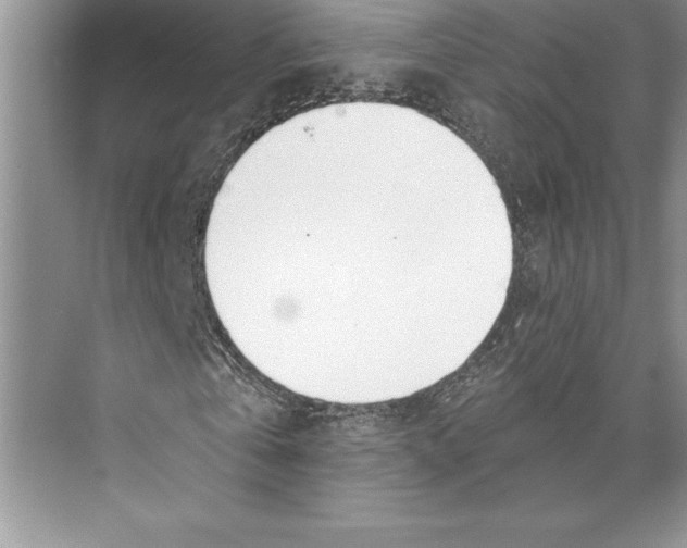 X0000072490769200608111601