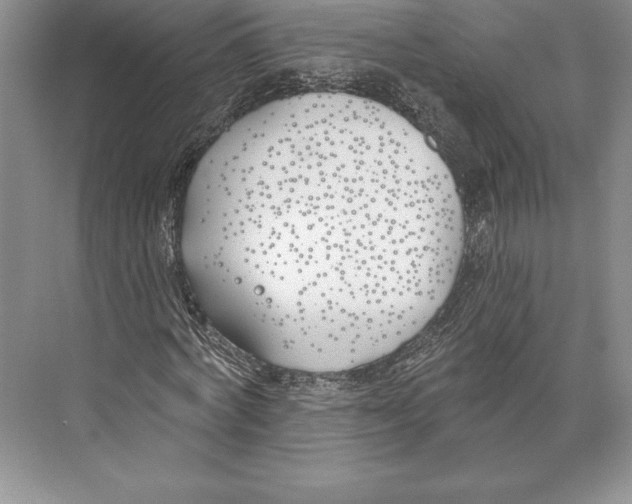 X0000072490772200608111601