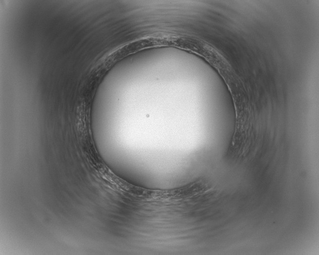 X0000072490773200608111601