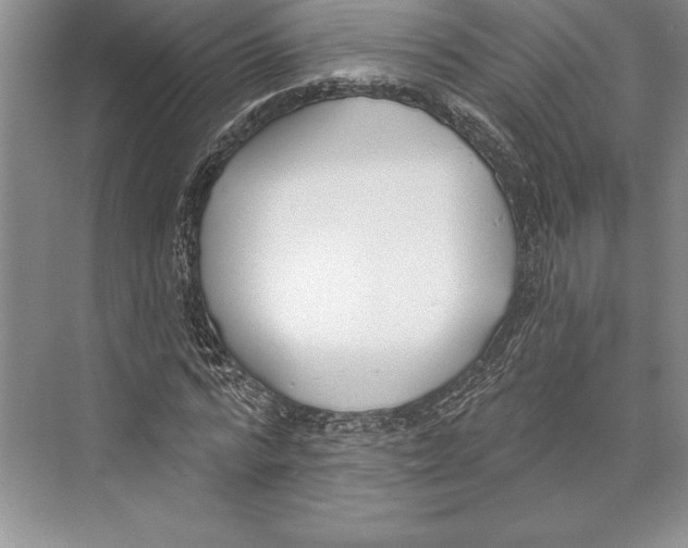 X0000072490776200608111601