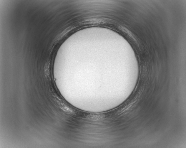 X0000072490778200608111601