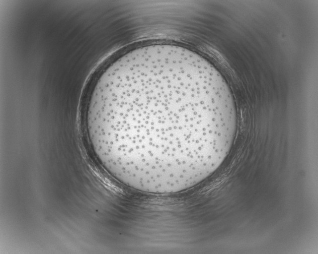 X0000072490780200608111601