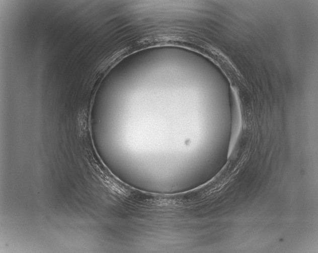 X0000072490785200608111601