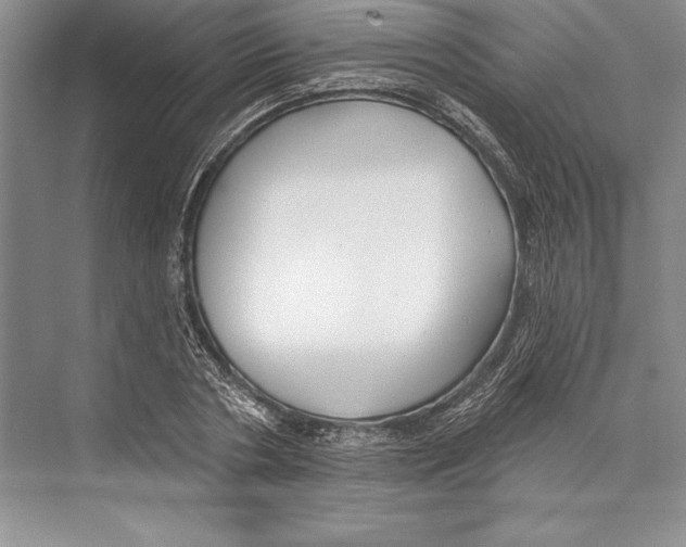 X0000072490786200608111601