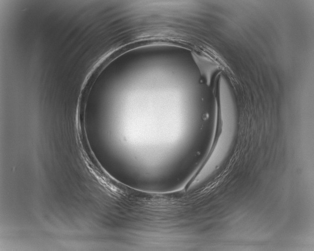 X0000072490788200608111601