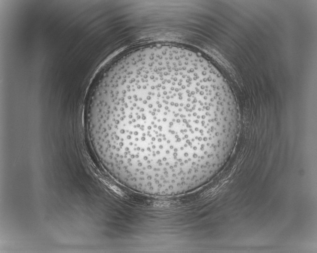 X0000072490790200608111601