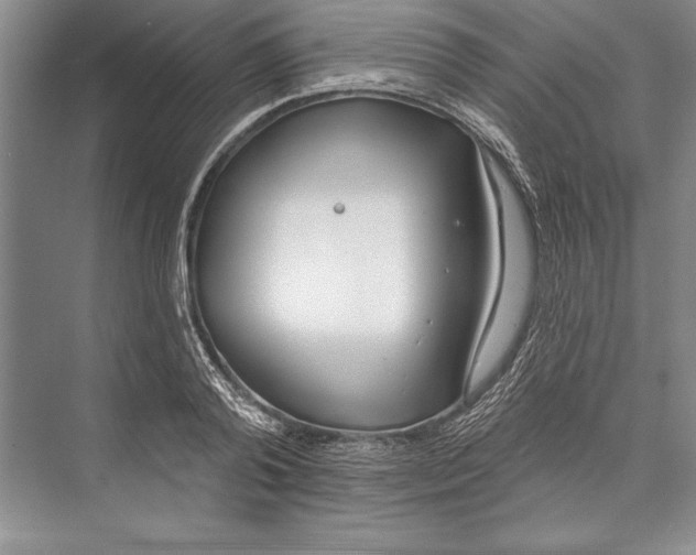 X0000072490792200608111601