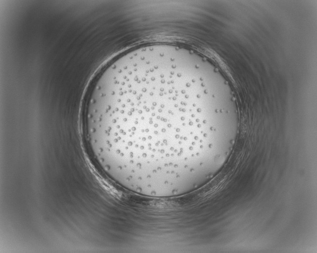 X0000072490795200608111601