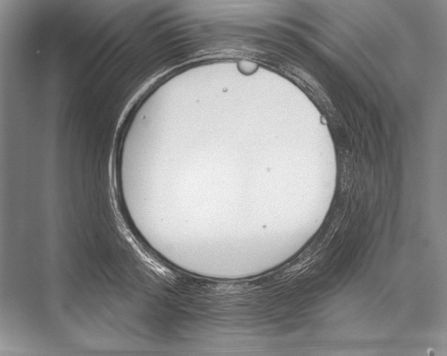 X0000072490796200608111601