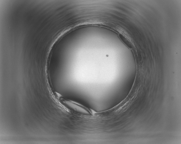 X0000072490797200608111601