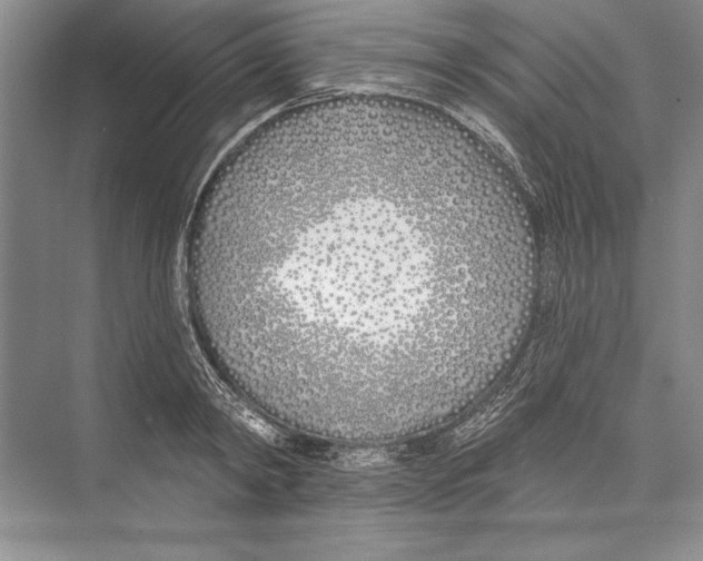 X0000072490798200608111600