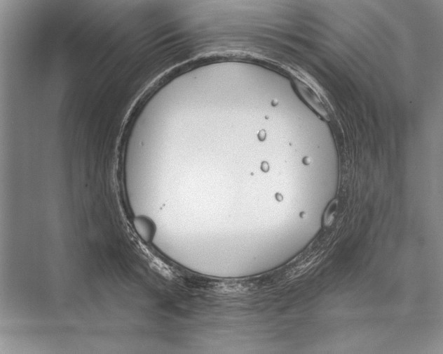 X0000072490799200608111600