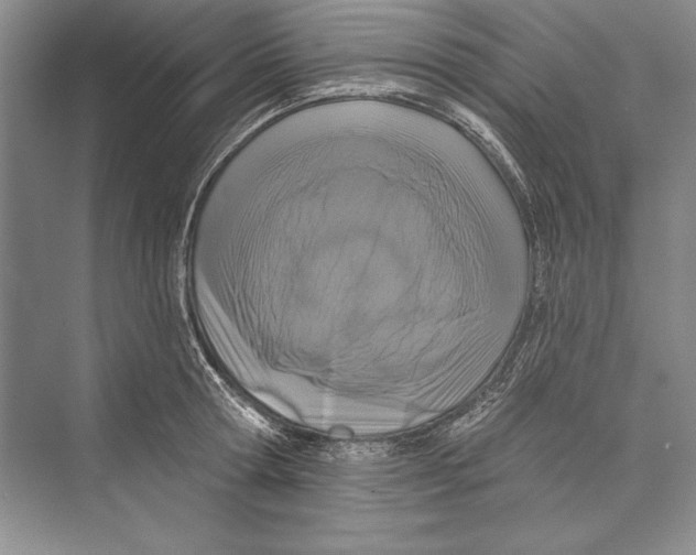 X0000072490802200608111600