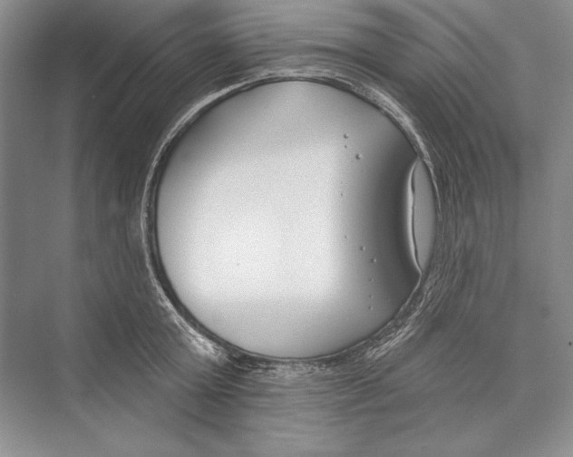 X0000072490803200608111600