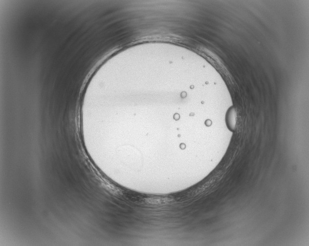 X0000072490804200608111600