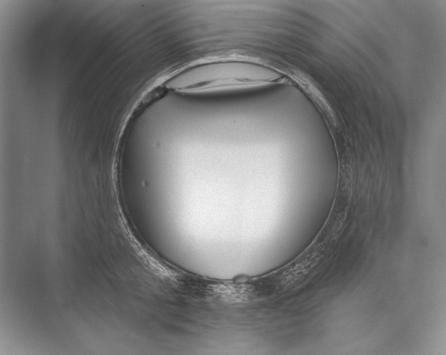 X0000072490805200608111600