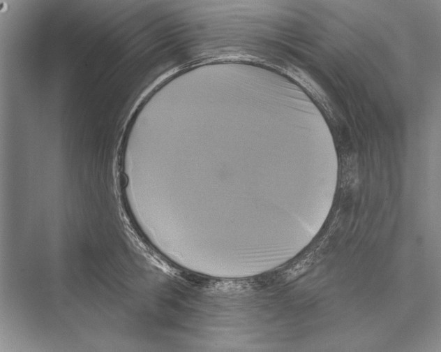 X0000072490806200608111600