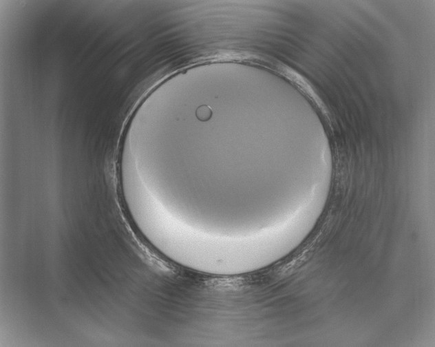 X0000072490810200608111600