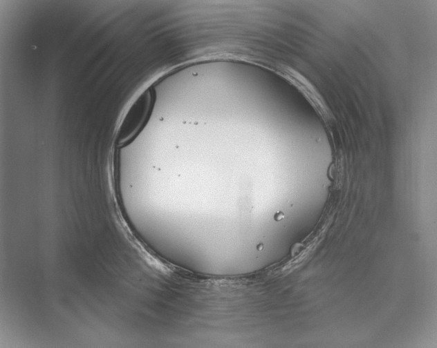 X0000072490812200608111600