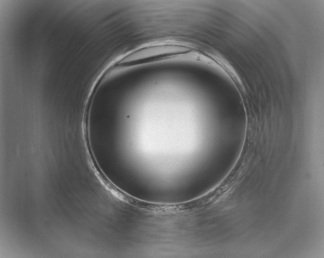 X0000072490813200608111600