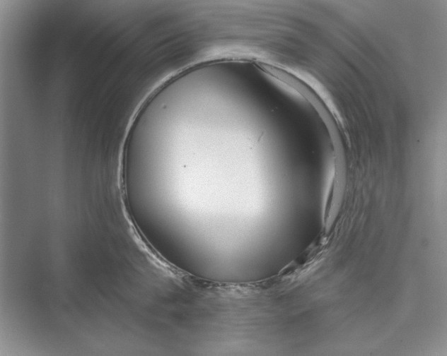 X0000072490815200608111600