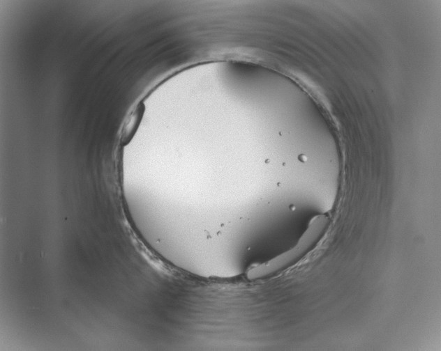 X0000072490816200608111600