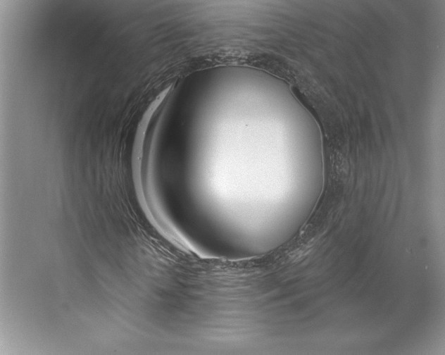 X0000072490818200608111559