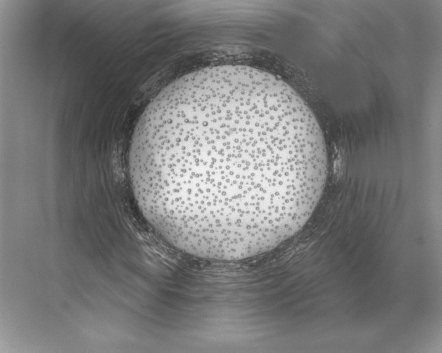 X0000072490819200608111559