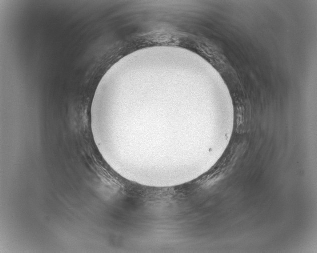 X0000072490820200608111559